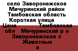 село Заворонежское, Мичуринский район, Тамбовская область, Короткая улица, 14 › Цена ­ 3 300 - Тамбовская обл., Мичуринский р-н, Заворонежское с. Животные и растения » Другие животные   